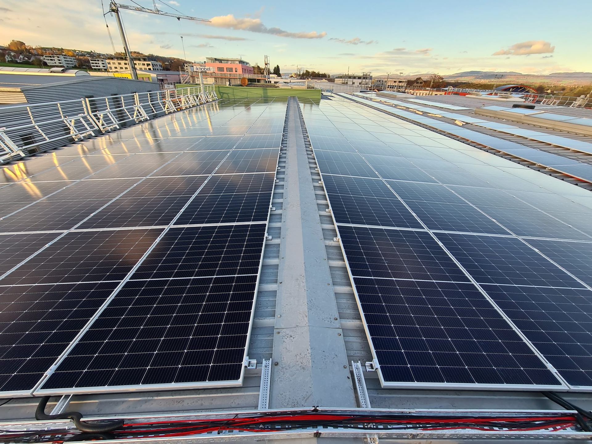 Rows of rooftop solar panels reflecting a bright evening sky.